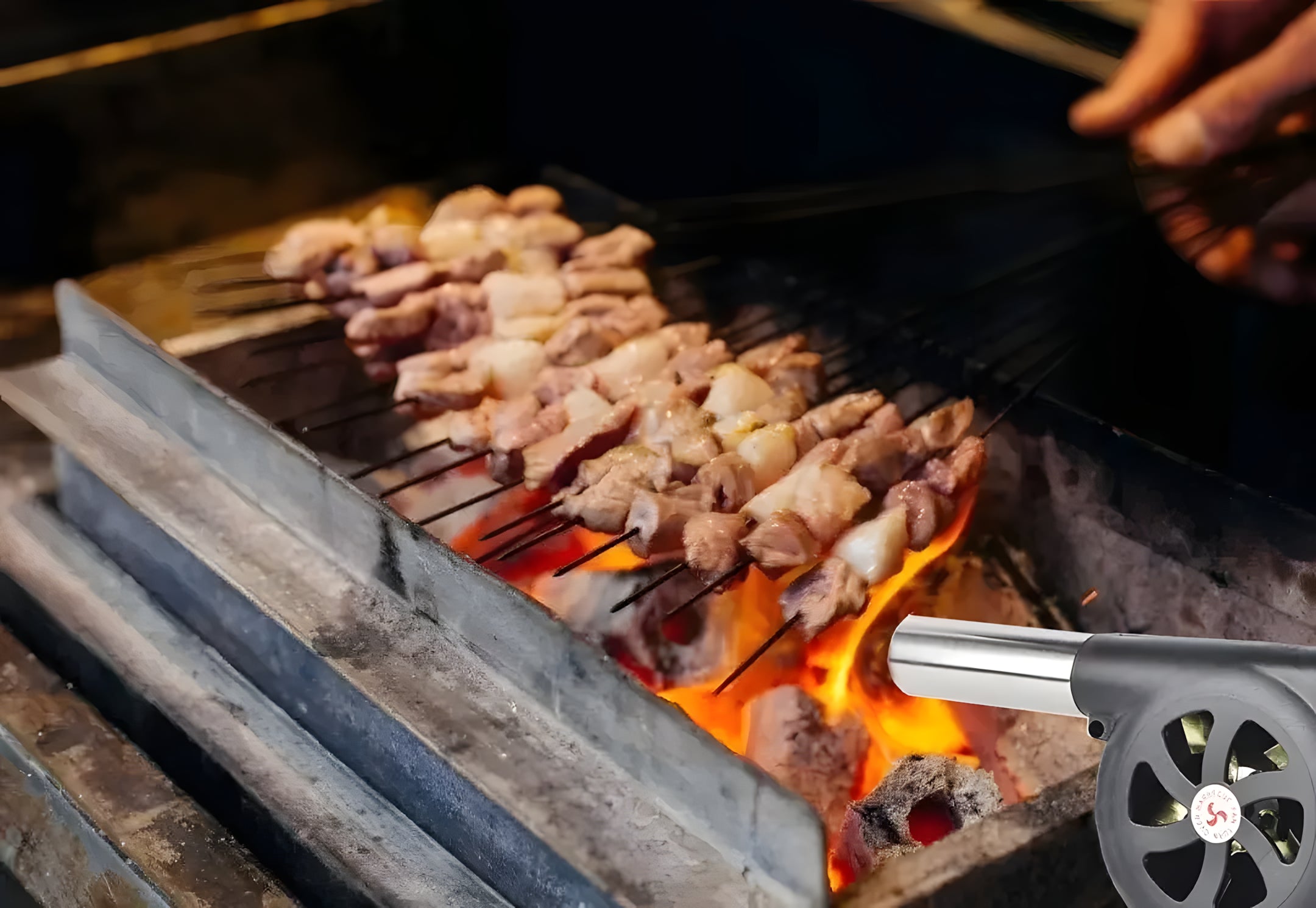 Manueller Grill-Handblower